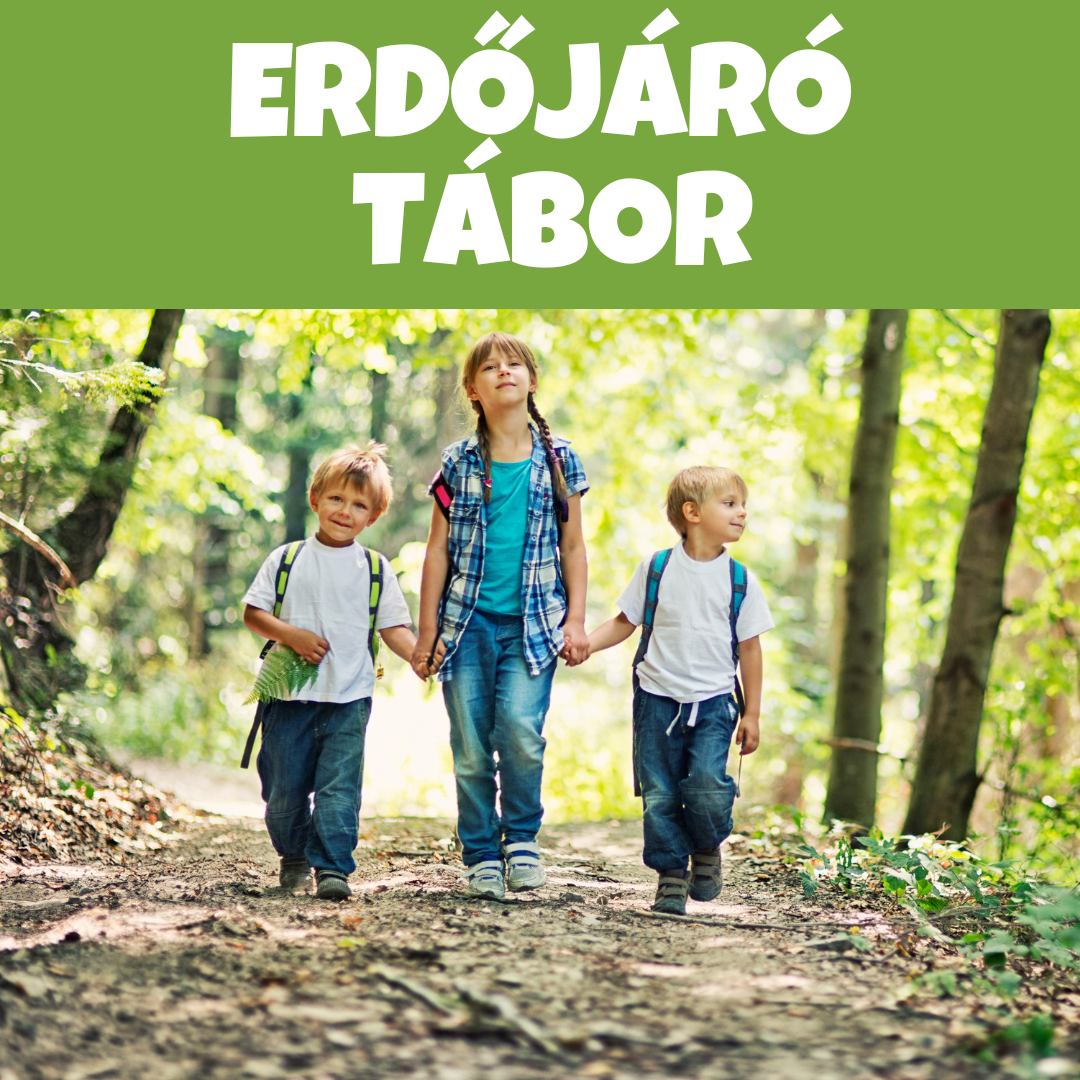 Erdőjáró tábor